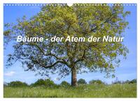 Bäume, der Atem der Natur (Wandkalender 2026 DIN A3 quer), CALVENDO Monatskalender