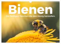 Bienen - Die fleißigen Tierchen die den Honig herstellen. (Wandkalender 2026 DIN A3 quer), CALVENDO Monatskalender