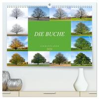 Die Buche: Jahresplaner 2026 (hochwertiger Premium Wandkalender 2026 DIN A2 quer), Kunstdruck in Hochglanz