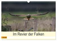 Im Revier der Falken (Wandkalender 2026 DIN A3 quer), CALVENDO Monatskalender