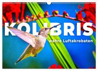 Kolibris - wahre Luftakrobaten (Wandkalender 2026 DIN A3 quer), CALVENDO Monatskalender
