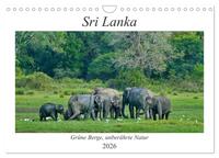 Sri Lanka, Grüne Berge - unberührte Natur (Wandkalender 2026 DIN A4 quer), CALVENDO Monatskalender
