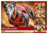 Windhunde. Seelenflüsterer zwischen Anmut, Tempo und Stille (Wandkalender 2026 DIN A2 quer), CALVENDO Monatskalender