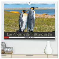 Die Pinguine der Falklandinseln (hochwertiger Premium Wandkalender 2026 DIN A2 quer), Kunstdruck in Hochglanz
