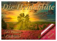 Die Heideblüte (Wandkalender 2026 DIN A2 quer), CALVENDO Monatskalender