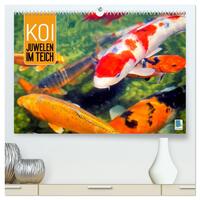 Koi: Juwelen im Teich (hochwertiger Premium Wandkalender 2026 DIN A2 quer), Kunstdruck in Hochglanz