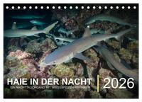 Haie in der Nacht (Tischkalender 2026 DIN A5 quer), CALVENDO Monatskalender