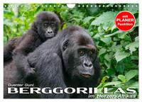 Berggorillas im Herzen Afrikas (Wandkalender 2026 DIN A4 quer), CALVENDO Monatskalender
