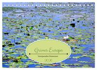 Grünes Europa - Naturparadies Drausensee (Tischkalender 2026 DIN A5 quer), CALVENDO Monatskalender
