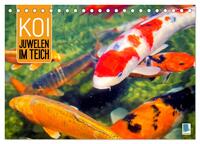 Koi: Juwelen im Teich (Tischkalender 2026 DIN A5 quer), CALVENDO Monatskalender