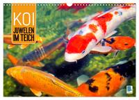 Koi: Juwelen im Teich (Wandkalender 2026 DIN A3 quer), CALVENDO Monatskalender