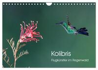 Kolibris - Flugkünstler im Regenwald (Wandkalender 2026 DIN A4 quer), CALVENDO Monatskalender