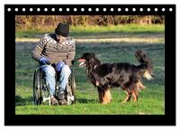Der Hovawart... Dein Freund fürs Leben ! (Tischkalender 2026 DIN A5 quer), CALVENDO Monatskalender