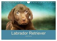Labrador Retriever unsere Freunde (Wandkalender 2026 DIN A4 quer), CALVENDO Monatskalender