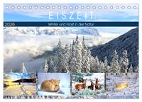 Eiszeit. Winter und Frost in der Natur (Tischkalender 2026 DIN A5 quer), CALVENDO Monatskalender