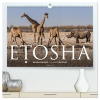 ETOSHA – Namibia Highlights (hochwertiger Premium Wandkalender 2026 DIN A2 quer), Kunstdruck in Hochglanz