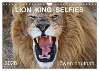 LION KING SELFIES Löwen hautnah (Wandkalender 2026 DIN A4 quer), CALVENDO Monatskalender