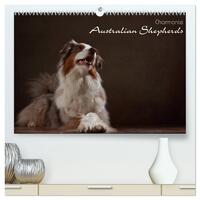 Charmante Australian Shepherds (hochwertiger Premium Wandkalender 2026 DIN A2 quer), Kunstdruck in Hochglanz