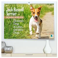 Jack Russell Terrier: Komm spielen (hochwertiger Premium Wandkalender 2026 DIN A2 quer), Kunstdruck in Hochglanz
