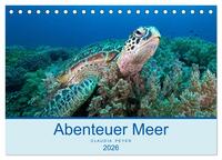 Abenteuer Unterwasser (Tischkalender 2026 DIN A5 quer), CALVENDO Monatskalender
