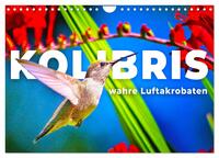 Kolibris - wahre Luftakrobaten (Wandkalender 2026 DIN A4 quer), CALVENDO Monatskalender