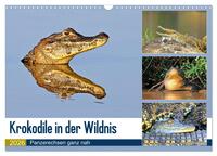 Krokodile in der Wildnis (Wandkalender 2026 DIN A3 quer), CALVENDO Monatskalender