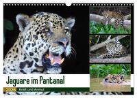 Jaguare im Pantanal (Wandkalender 2026 DIN A3 quer), CALVENDO Monatskalender