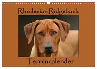 Rhodesian Ridgeback Terminkalender (Wandkalender 2026 DIN A3 quer), CALVENDO Monatskalender