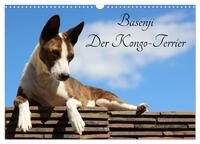Basenji, der Kongo-Terrier (Wandkalender 2026 DIN A3 quer), CALVENDO Monatskalender