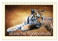 Sibirische Tigerportraits (Tischkalender 2026 DIN A5 quer), CALVENDO Monatskalender