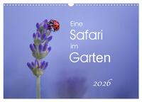 Eine Safari im Garten (Wandkalender 2026 DIN A3 quer), CALVENDO Monatskalender