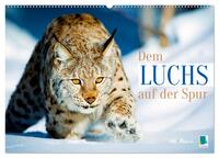 Dem Luchs auf der Spur (Wandkalender 2026 DIN A2 quer), CALVENDO Monatskalender