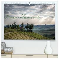 Piemont - bellissimo 2026 (hochwertiger Premium Wandkalender 2026 DIN A2 quer), Kunstdruck in Hochglanz