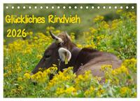 Glückliches Rindvieh 2026 (Tischkalender 2026 DIN A5 quer), CALVENDO Monatskalender