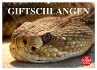 Giftschlangen (Wandkalender 2026 DIN A2 quer), CALVENDO Monatskalender