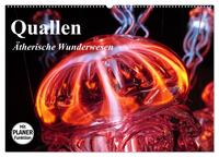 Quallen. Ätherische Wunderwesen (Wandkalender 2026 DIN A2 quer), CALVENDO Monatskalender