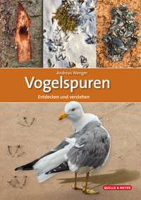 Vogelspuren