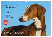 Windhund der Wüste - Der Azawakh (Wandkalender 2026 DIN A2 quer), CALVENDO Monatskalender