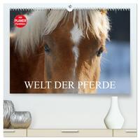 Welt der Pferde (hochwertiger Premium Wandkalender 2026 DIN A2 quer), Kunstdruck in Hochglanz