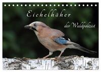 Eichelhäher der Waldpolizist (Tischkalender 2026 DIN A5 quer), CALVENDO Monatskalender