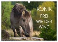 Konik - Frei geboren (Wandkalender 2026 DIN A3 quer), CALVENDO Monatskalender