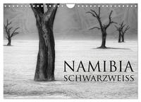 Namibia schwarzweiß (Wandkalender 2026 DIN A4 quer), CALVENDO Monatskalender