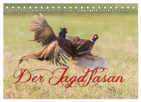Emotionale Momente: Der Jagdfasan. (Tischkalender 2026 DIN A5 quer), CALVENDO Monatskalender
