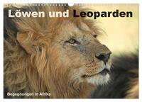 Löwen und Leoparden - Begegnungen in Afrika (Wandkalender 2026 DIN A3 quer), CALVENDO Monatskalender