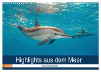 Highlights aus dem Meer - Tauchkalender (Wandkalender 2026 DIN A3 quer), CALVENDO Monatskalender