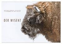 Emotionale Momente: Der Wisent. (Wandkalender 2026 DIN A2 quer), CALVENDO Monatskalender