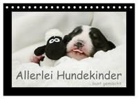 Allerlei Hundekinder (Tischkalender 2026 DIN A5 quer), CALVENDO Monatskalender