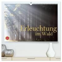 Erleuchtung im Wald (hochwertiger Premium Wandkalender 2026 DIN A2 quer), Kunstdruck in Hochglanz