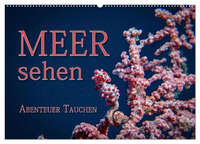 Meer sehen - Abenteuer Tauchen (Wandkalender 2026 DIN A2 quer), CALVENDO Monatskalender
