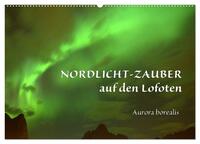 Nordlicht-Zauber auf den Lofoten. Aurora borealis (Wandkalender 2026 DIN A2 quer), CALVENDO Monatskalender